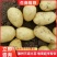 滕州新土豆，新品2-3两电商土豆，价格实惠，大量有货