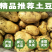 山东潍坊安丘精品土豆产地直供长期合作按需配货