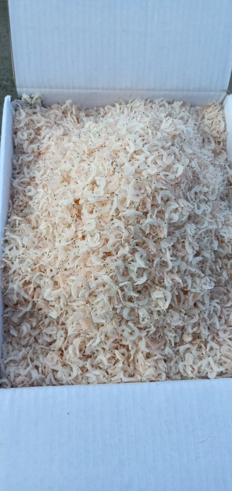 无盐淡干虾皮自产自销视频看货对接商超团购支持一件带发