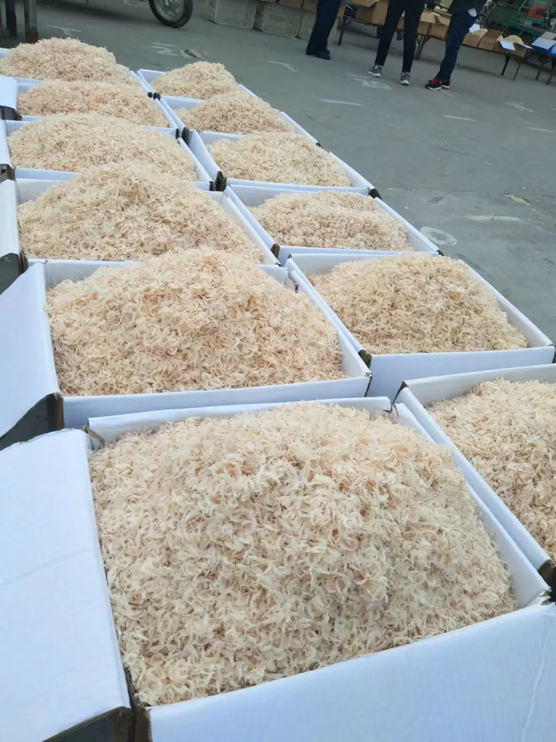 无盐淡干虾皮自产自销视频看货对接商超团购支持一件带发