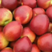 油桃，中油桃，各种桃，对接电商平台，销售各大市场