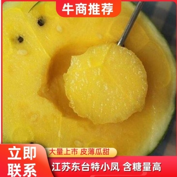 西瓜特小凤西瓜江苏东台大量上市口感好含糖量高