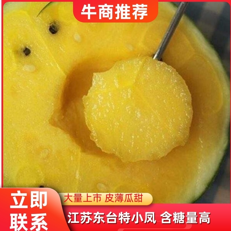 西瓜特小凤西瓜江苏东台大量上市口感好含糖量高