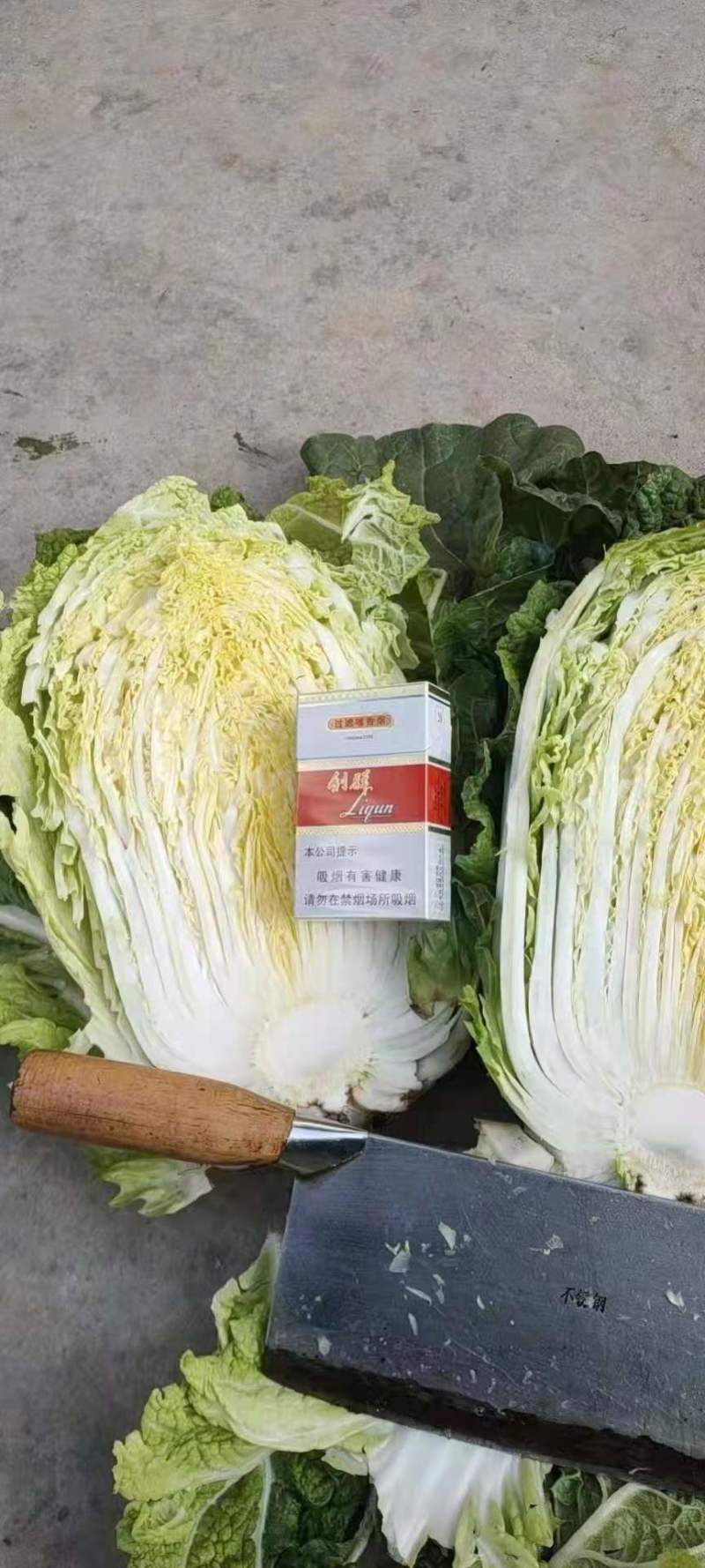 大白菜，山东黄心白菜大量上市，货源充足，保质保量