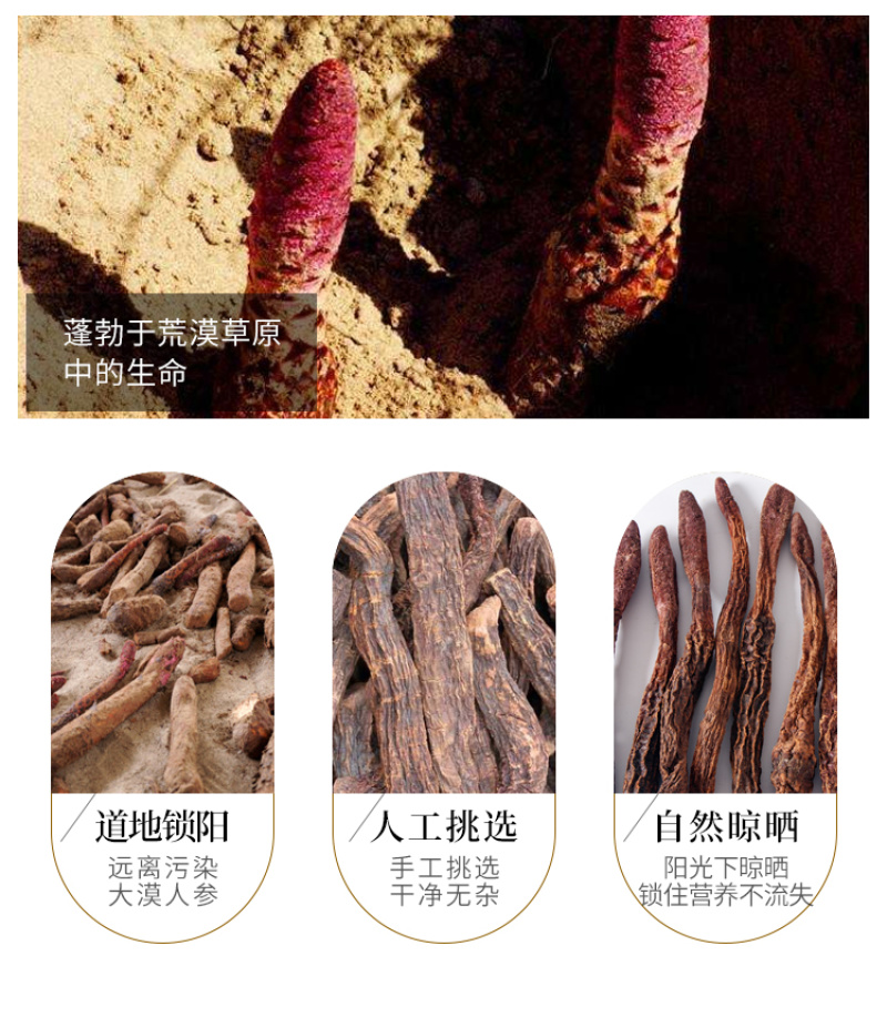 内蒙古阿拉善金锁阳正品中药材泡酒药材野生锁阳苁蓉泡茶