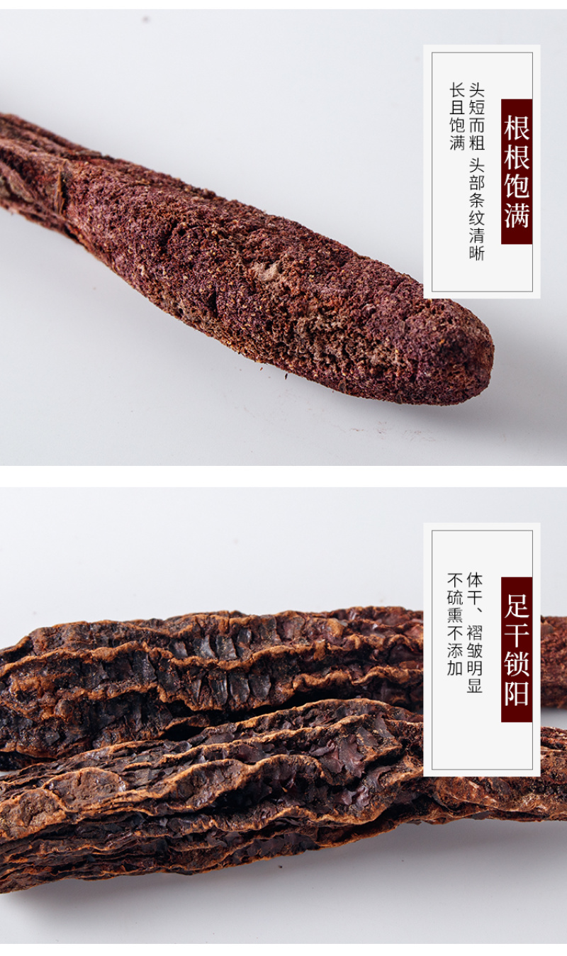 内蒙古阿拉善金锁阳正品中药材泡酒药材野生锁阳苁蓉泡茶