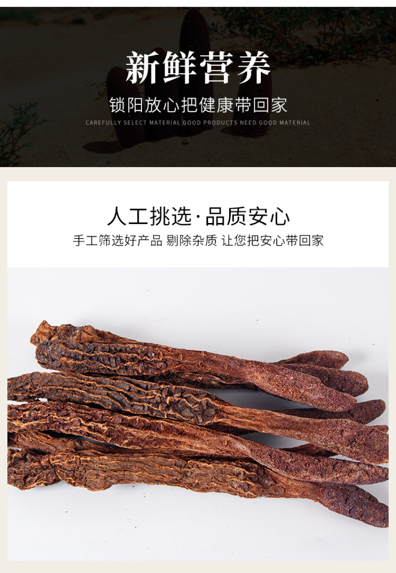 内蒙古阿拉善金锁阳正品中药材泡酒药材野生锁阳苁蓉泡茶