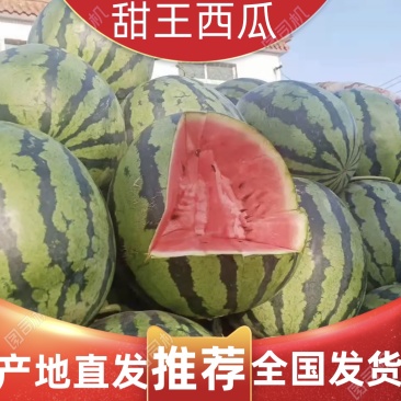 山东甜王西瓜大量上市，价格便宜，货源充足，质量保证，