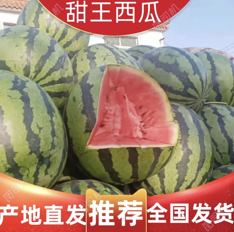 山东甜王西瓜大量上市，价格便宜，货源充足，质量保证，