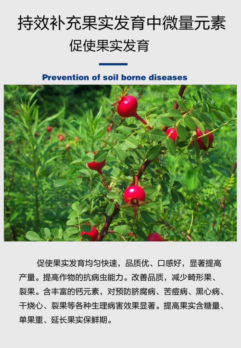 禾绿源中力奇中量元素水溶肥通用绿叶蔬菜果树膨果水溶肥料