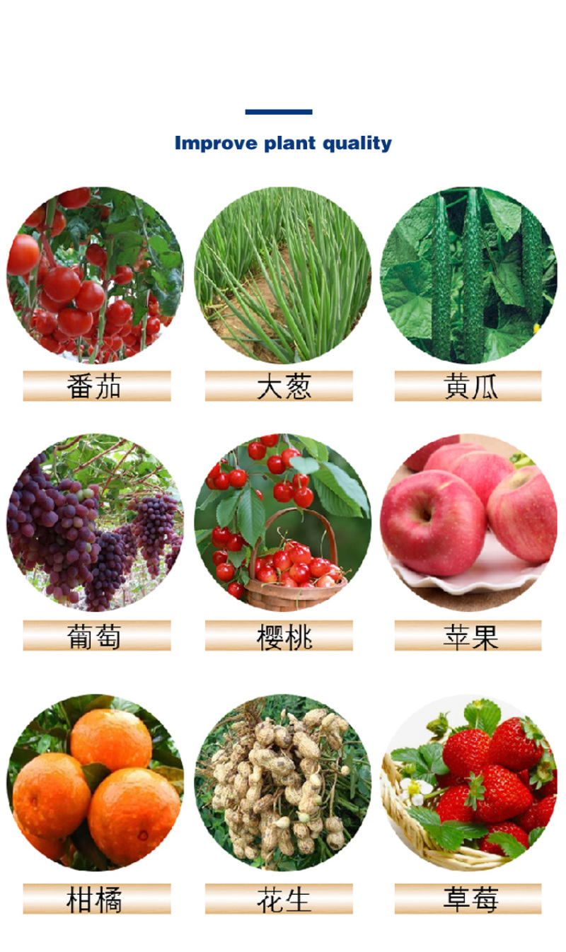 禾绿源中力奇中量元素水溶肥通用绿叶蔬菜果树膨果水溶肥料