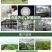 禾绿源中力奇中量元素水溶肥通用绿叶蔬菜果树膨果水溶肥料
