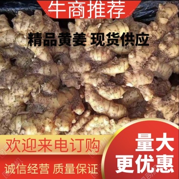生姜产地直销优质小黄姜品种齐全商超专供全国发货