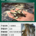 丁桂鱼苗5-7cm批发产地直销运输损耗包赔