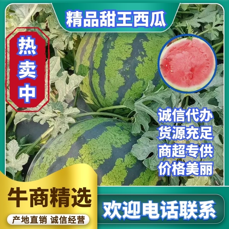 蒲城甜王西瓜供应，直生苗甜王西瓜批发，诚信第一，发往全国