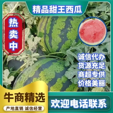 陕西甜王西瓜上市万亩直播苗甜王西瓜产地直销