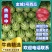 金城5号西瓜直生苗金城5号西瓜甜度高，口感好，耐运输，