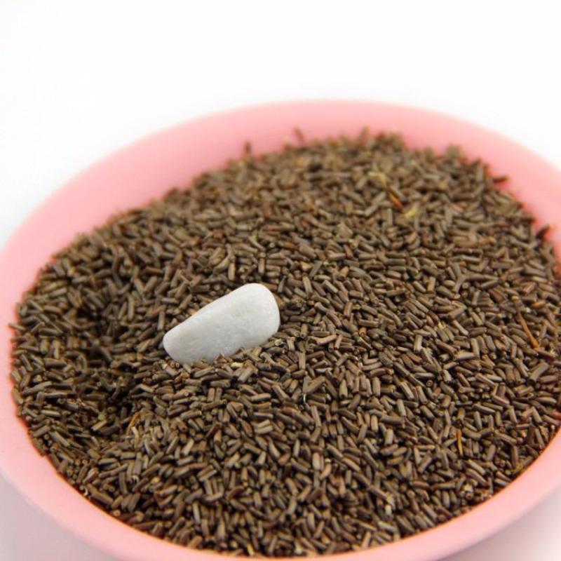 麦秆菊种子蜡菊脆菊种子四季易种庭院阳台种子景观花海