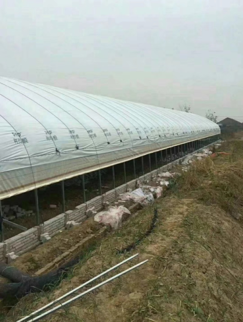 专业生产整套温室大棚养殖大棚全国发货包建
