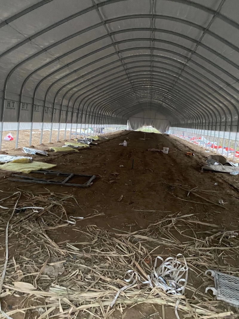 养羊钢架棚养猪温室大棚水产养殖钢架棚全国发货