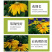 黑心菊种子花种籽四季易种多年生宿根花卉花草花籽各种庭院花