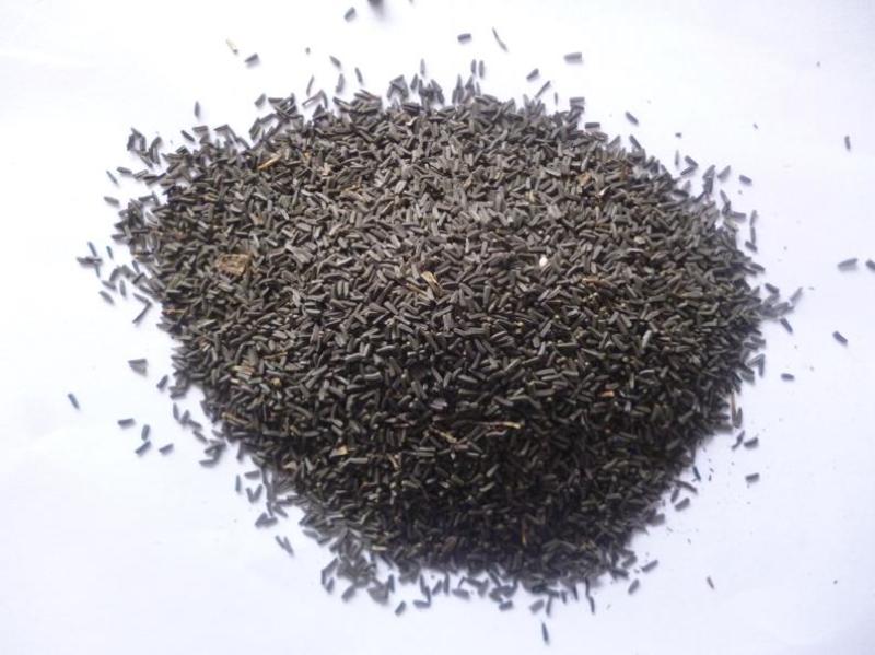 黑心菊种子花种籽四季易种多年生宿根花卉花草花籽各种庭院花