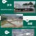 鲫鱼苗3cm产地直销高质量无病开口苗包回收