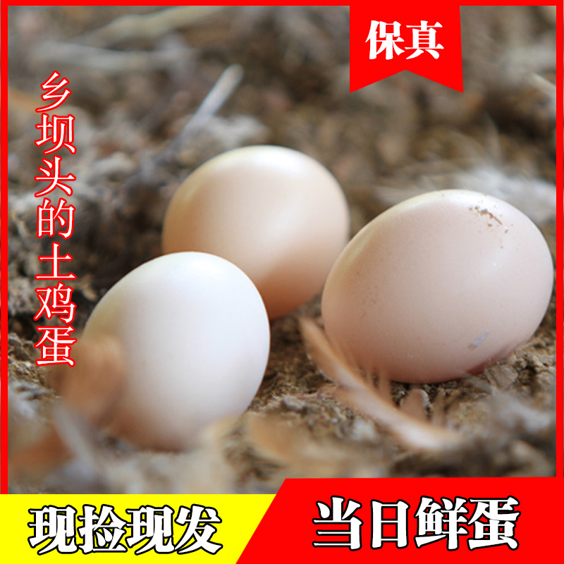 农家散养土鸡蛋新鲜现捡正宗柴鸡蛋农村食用草鸡蛋笨鸡蛋40