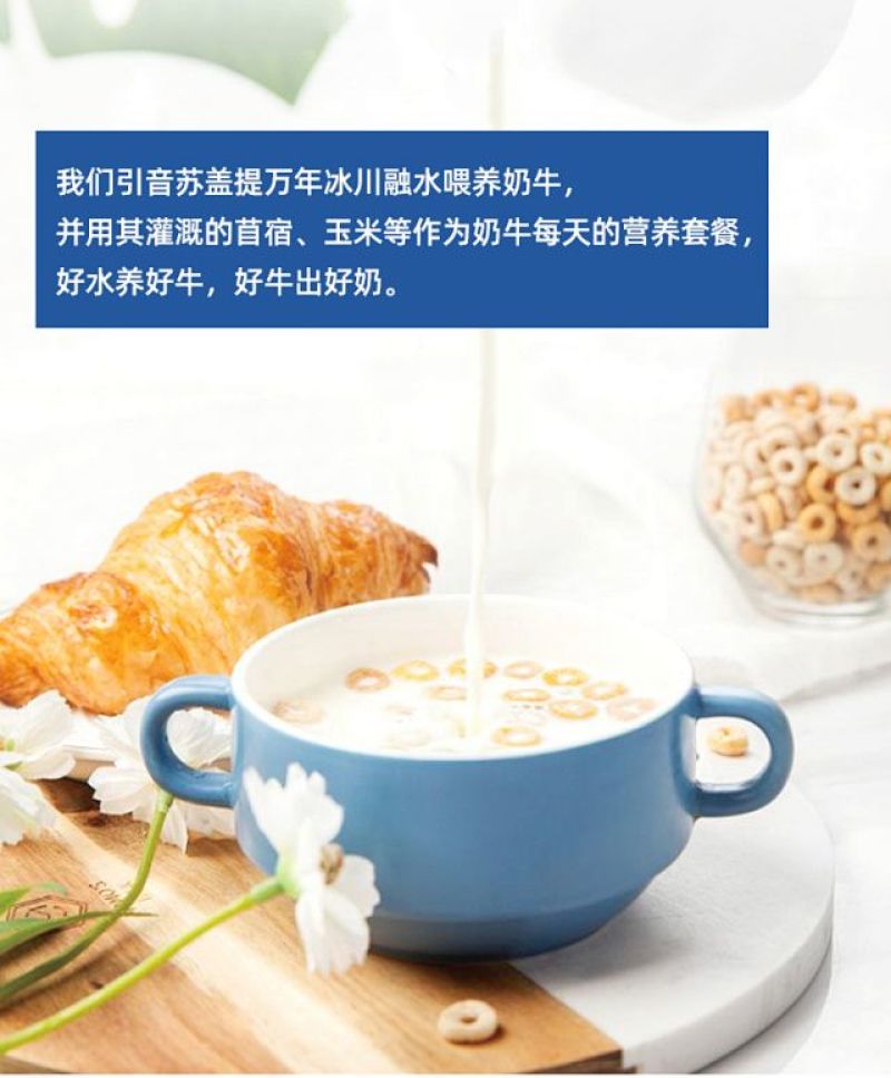 包邮~新疆纯牛奶，喀喇昆仑纯牛奶200g*20袋