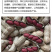 红皮花生带壳新花生四粒红花生种子精选包邮