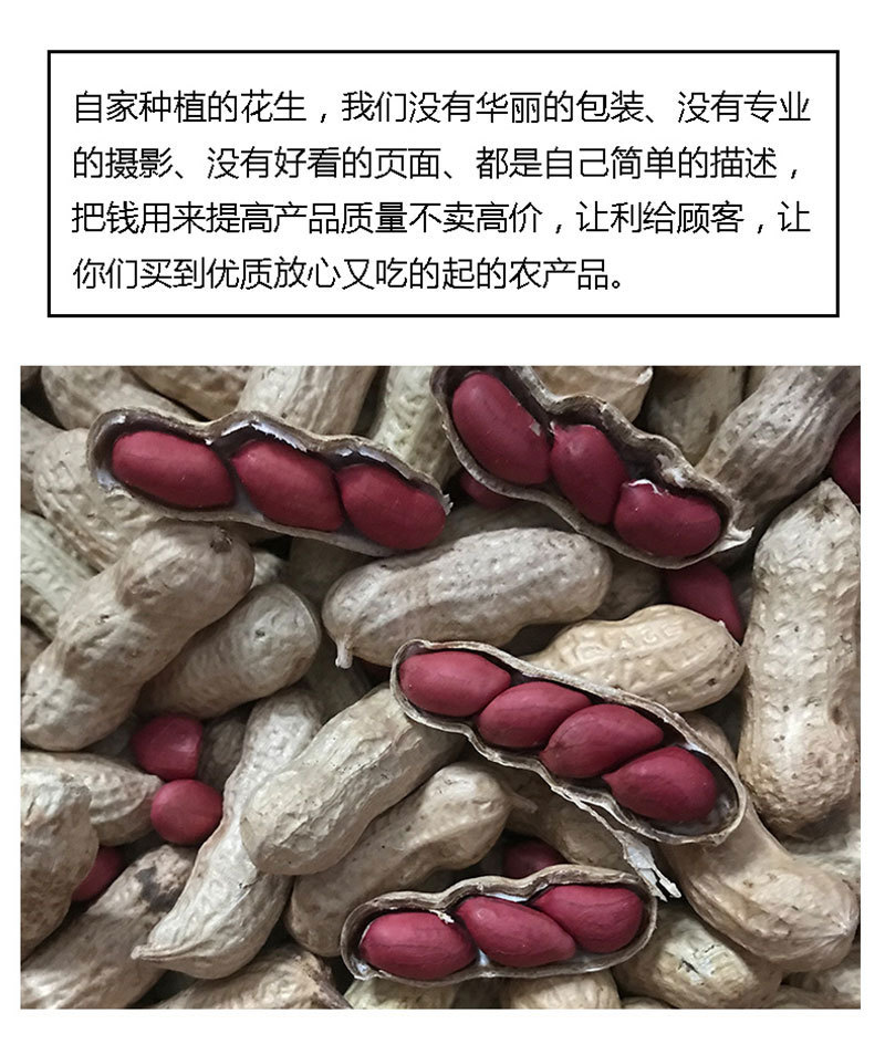 红皮花生带壳新花生四粒红花生种子精选包邮