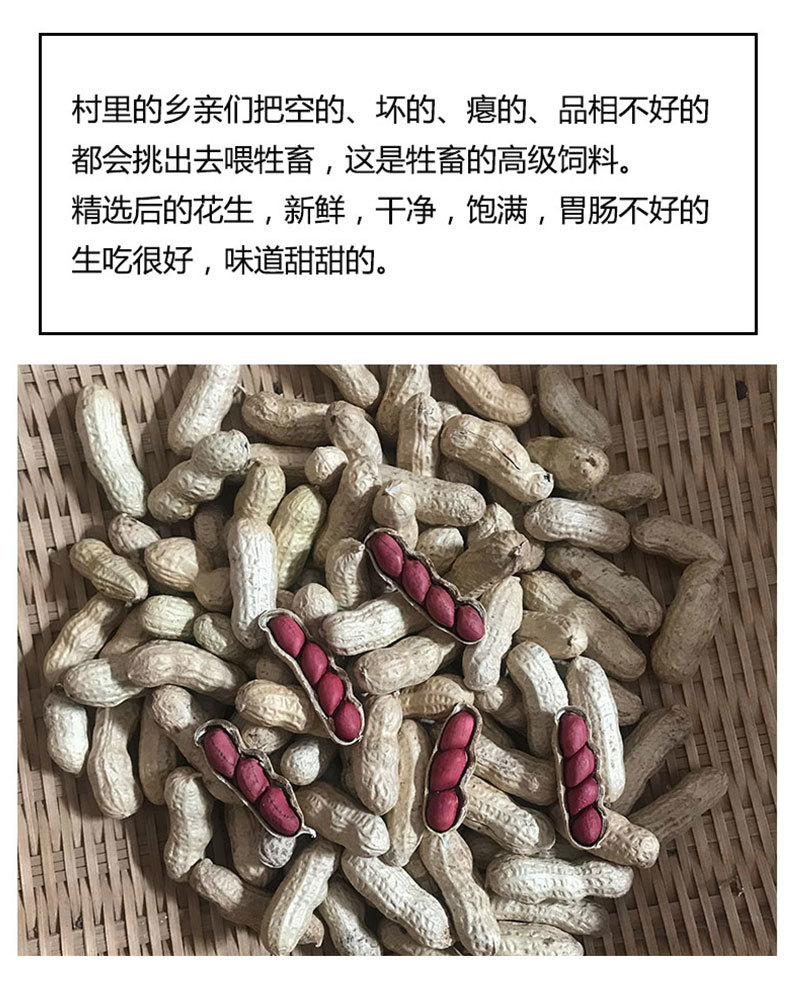 红皮花生带壳新花生四粒红花生种子精选包邮