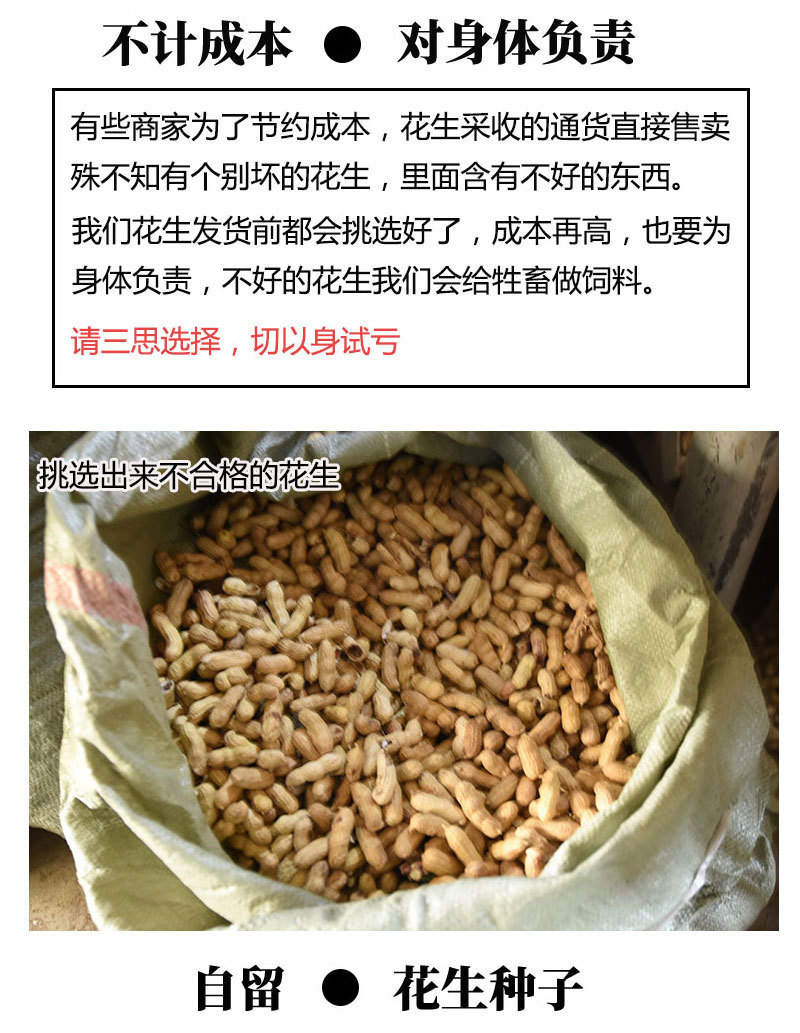 红皮花生带壳新花生四粒红花生种子精选包邮