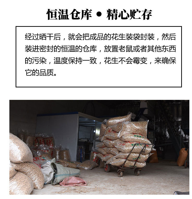 红皮花生带壳新花生四粒红花生种子精选包邮