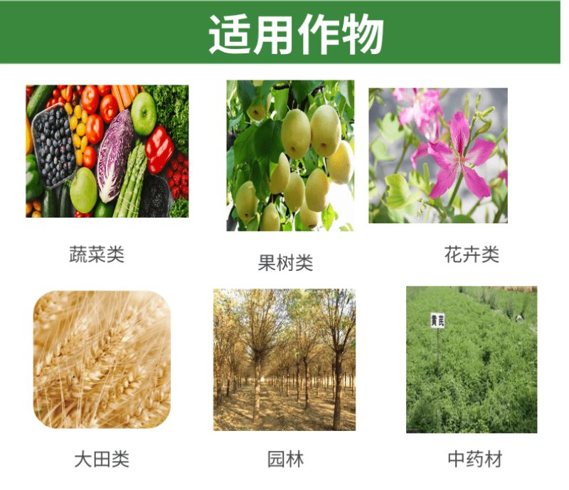 代森锰锌80%农药杀菌剂果树柑橘梨树炭疽病砂皮病番茄疫病