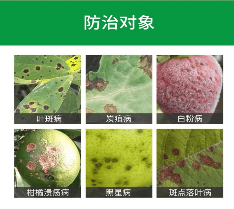 代森锰锌80%农药杀菌剂果树柑橘梨树炭疽病砂皮病番茄疫病