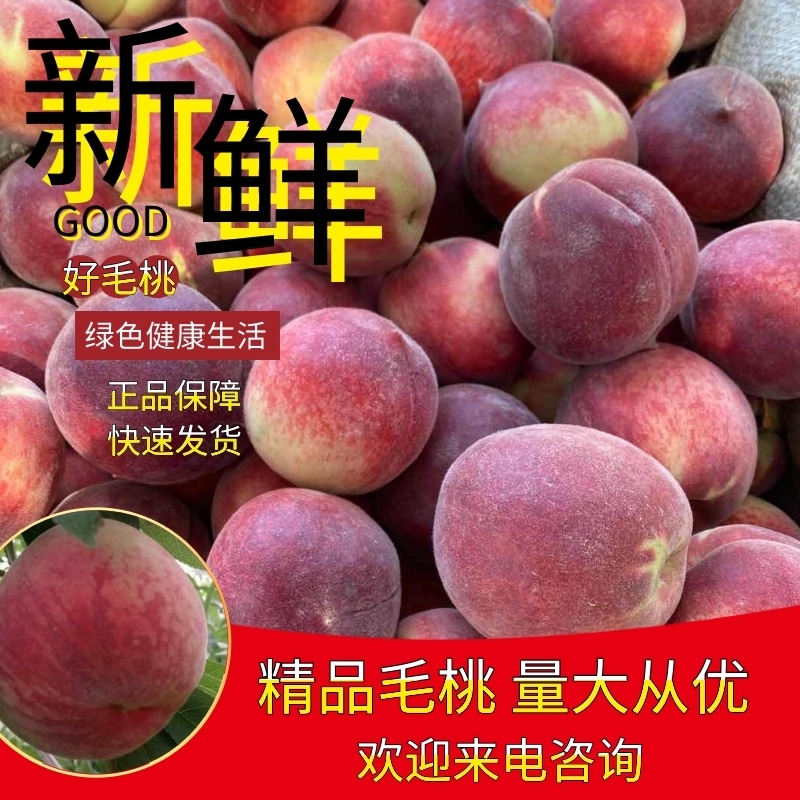 【精品】湖北襄阳毛桃批发，大量上市，视频看货，全国代发
