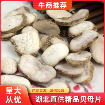 贝母片产地直销基地直供可以视频看货诚信为本