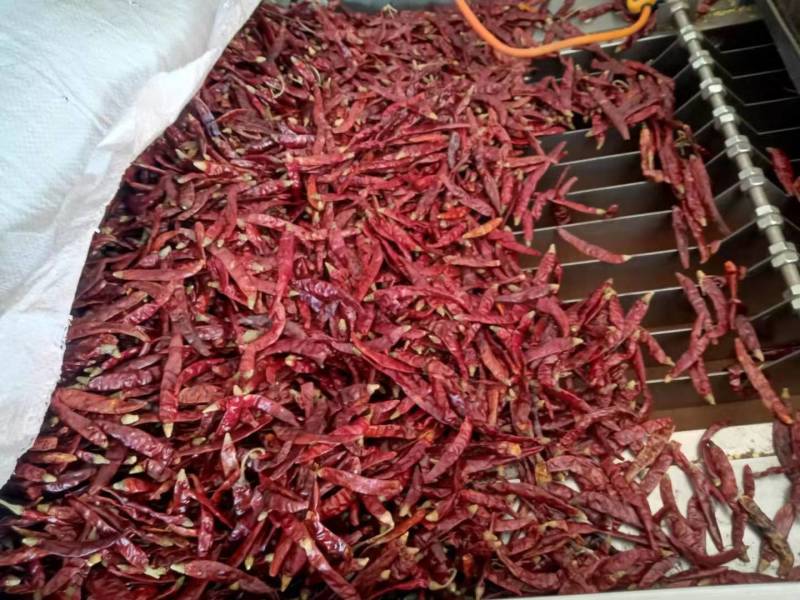 云南丘北辣椒干辣椒辣子节辣椒节辣椒段零售