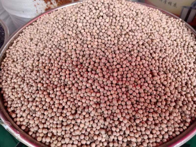云南白芝麻黑芝麻芝麻粉生芝麻土芝麻批发价量大从优水洗芝麻