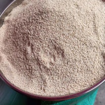 云南白芝麻黑芝麻芝麻粉生芝麻土芝麻批发价量大从优水洗芝麻