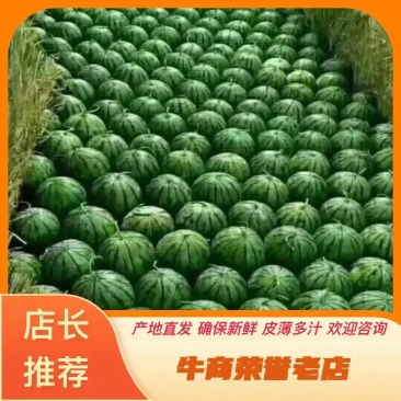盐城8424西瓜。