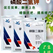 【99%磷酸二氢钾】50g/袋，叶面喷施1桶水1袋，吸收