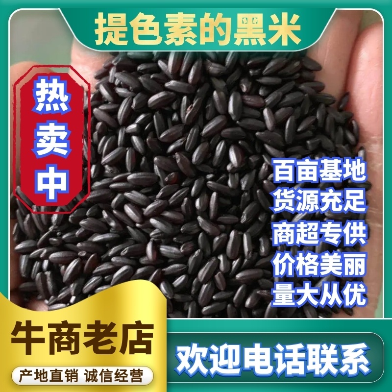 河北黑米，常年有货，对接批发量大从优，可发全国欢迎联系