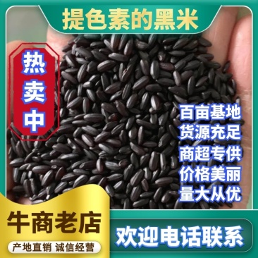 精品优质黑米产地直供质量保证价格低廉货发全国