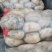 精品土豆，沃土5个头大，半斤以占百分之八十，欢迎来