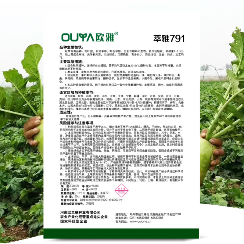 原装791罐萝卜种子秋播青萝卜种籽蔬菜种青皮绿肉萝卜籽庭