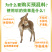 小驴驹饲料预混料生长驴拉骨架德州驴关中驴广灵驴马骡子饲料