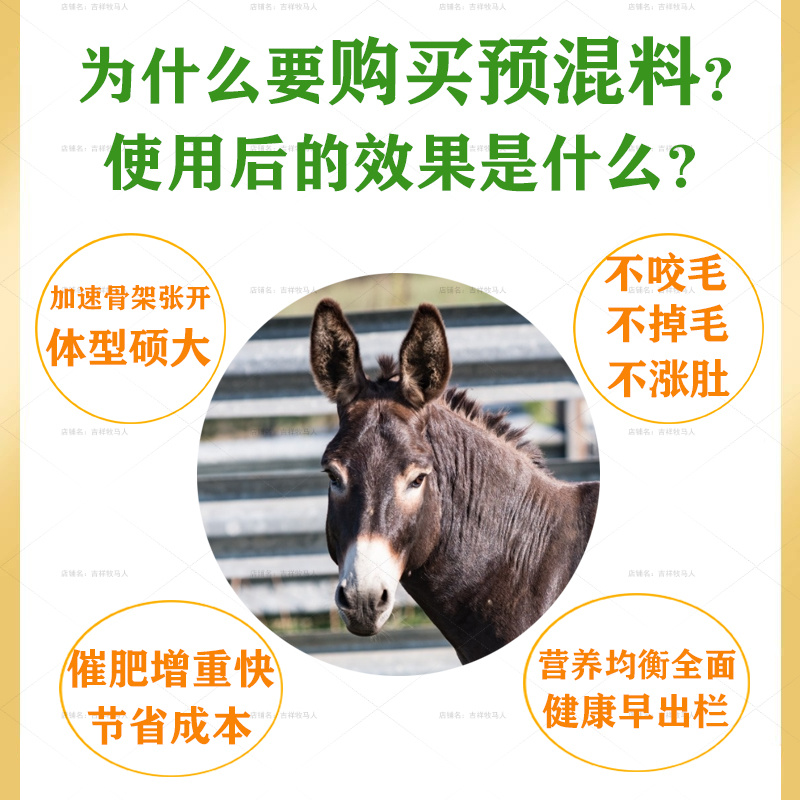 肉驴快长素育肥预混料速肥驴饲料快速催肥生长增肥壮膘加快出
