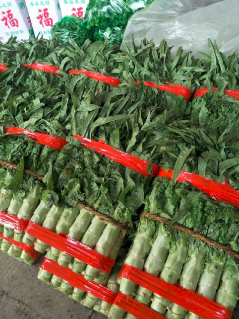 莴笋大量上市一次交易终身朋友支持视频看货量大从优